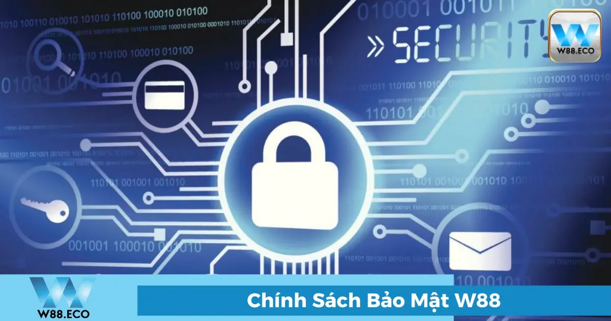 Các thông tin được thu thập tại W88