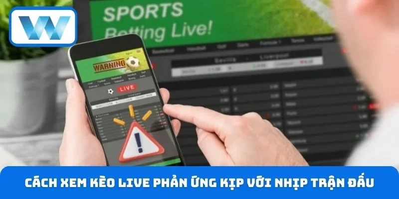 Cách Xem Kèo Live Chuẩn Xác Cho Người Mới Bắt Đầu Cược 4 Cách xem kèo live chuẩn là phản ứng kịp với nhịp trận đấu