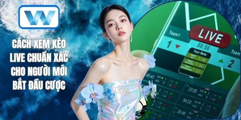 Cách Xem Kèo Live Chuẩn Xác Cho Người Mới Bắt Đầu Cược