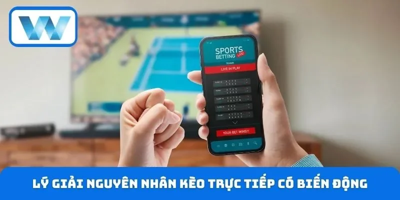 Cách Xem Kèo Live Chuẩn Xác Cho Người Mới Bắt Đầu Cược 3 Lý giải nguyên nhân kèo trực tiếp có biến động