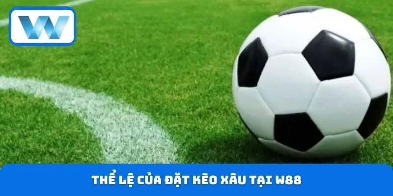 Lưu Ý Cược Xiên Khi Tham Gia Cá Độ Tránh Mất Tiền Oan 3 Thể lệ của đặt kèo xâu tại W88