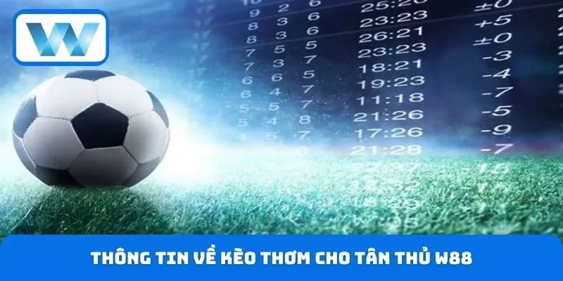Cách Chọn Kèo Thơm Từ Cao Thủ - Mẹo Bắt Kèo Nhanh Và Chuẩn 2 Thông tin về kèo thơm cho tân thủ W88