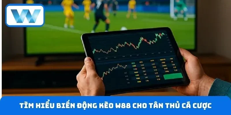 Biến Động Kèo W88 - Cách Đọc Tỷ Lệ Cược Chuẩn Cho Bet Thủ 2 Tìm hiểu biến động kèo W88 cho tân thủ cá cược